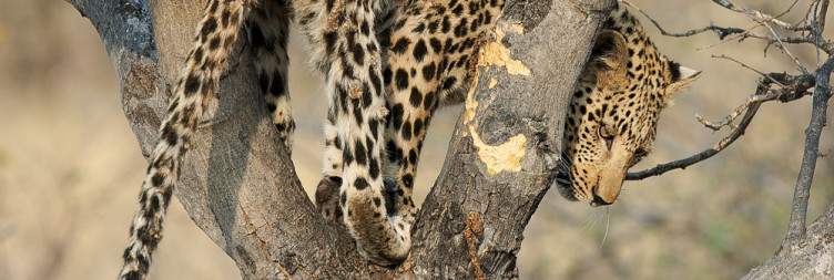Explore Serengeti National Park