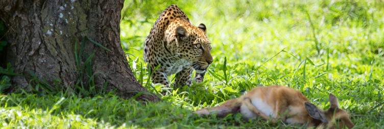 Serengeti National Park