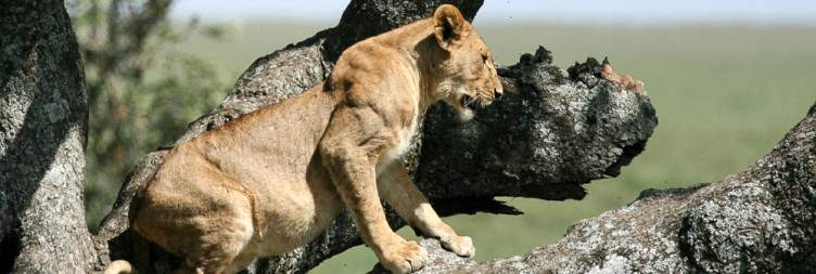 Serengeti National Park