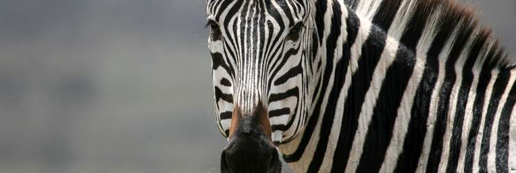 Serengeti National Park