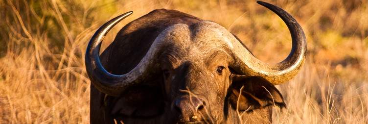 Serengeti National Park