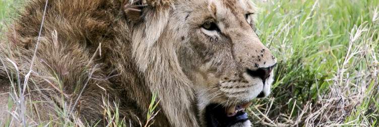 Serengeti National Park