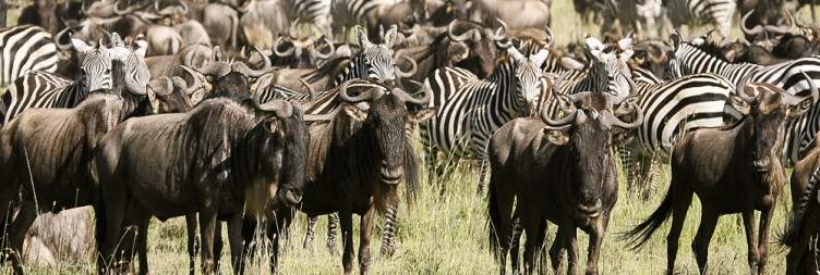Serengeti National Park