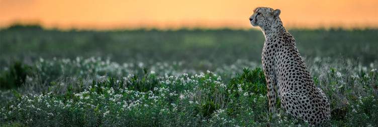 Karatu – Serengeti National Park