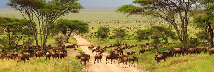 Serengeti National Park