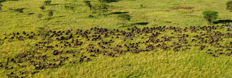 Serengeti National Park to Ngorongoro Conservation Area