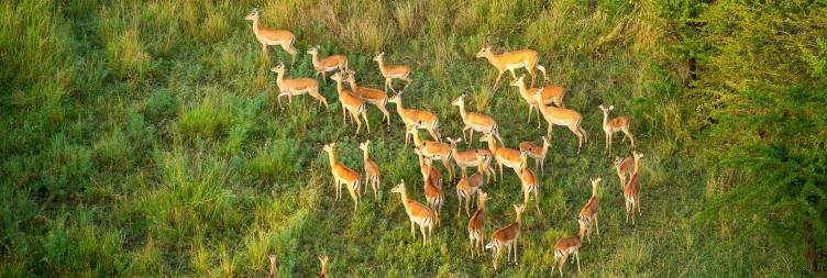 Karatu to Serengeti National Park