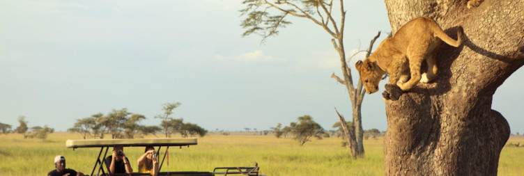 Lake Manyara – Serengeti National Park