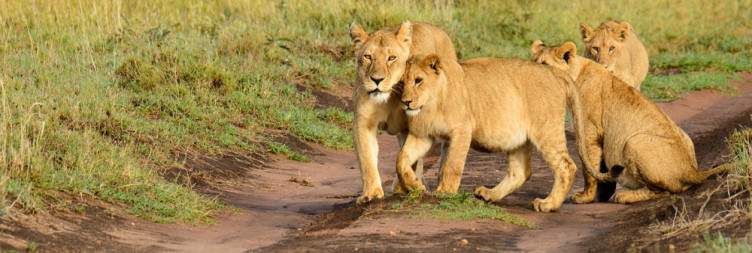 Karatu to Serengeti National Park