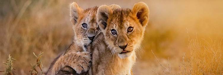 Serengeti National Park