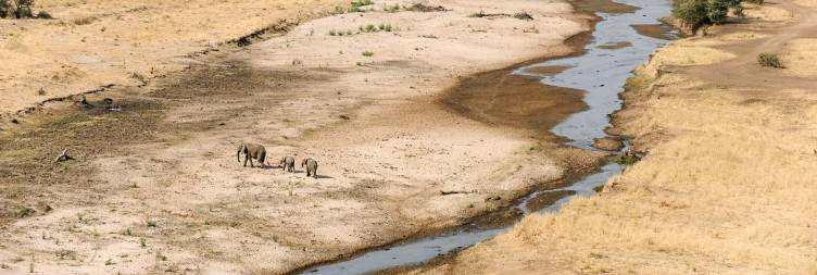 Arusha to Tarangire National Park