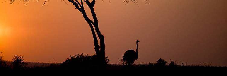 Tarangire National Park