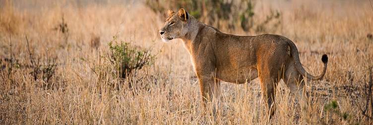 Tarangire National Park