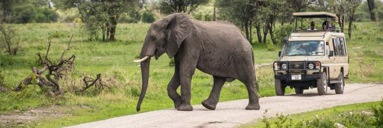 Arusha to Tarangire National Park