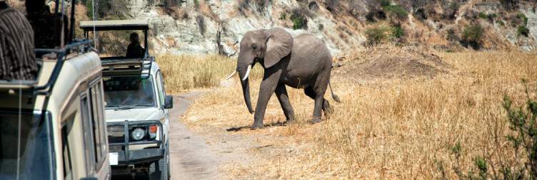 Arusha to Tarangire National Park