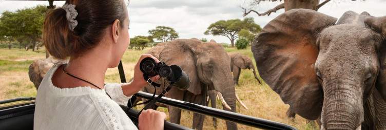 Guided Game Drive in Tarangire National Park