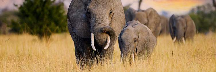 Tarangire National Park