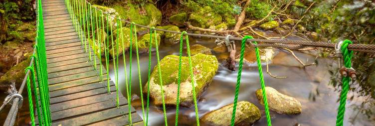 Hike in the Udzungwa Mountains National Park and Waterfall View