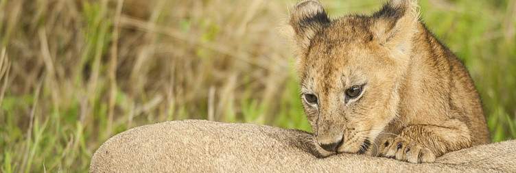 Karatu to Serengeti National Park