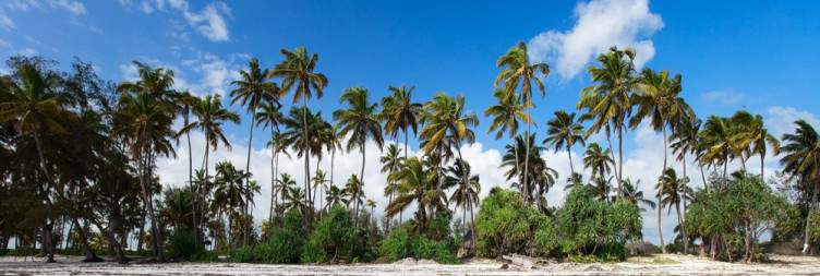Arrival and Transfer from Zanzibar Airport