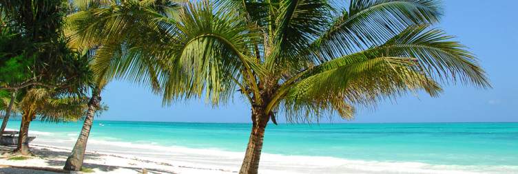 Zanzibar Island