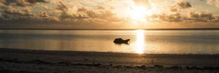 Zanzibar Beach Island