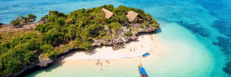 Morning Safari and Return to Zanzibar
