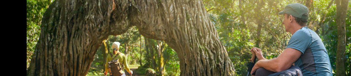14-Day Comfort Safari & Authentic Cultural Experience