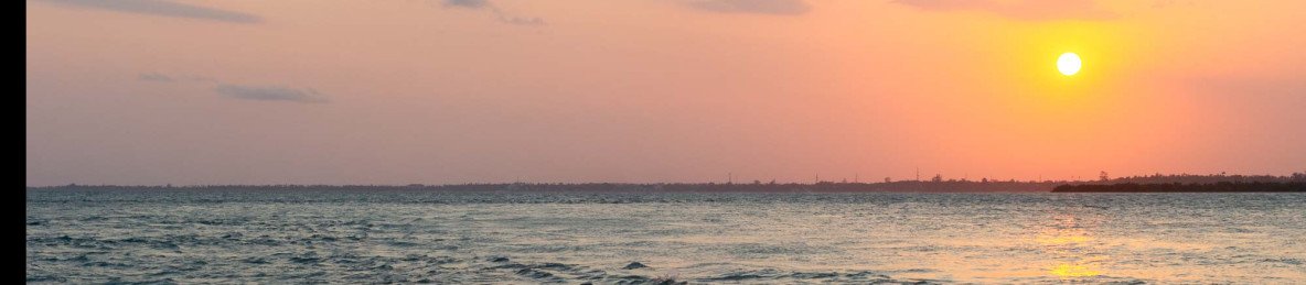 11-Day Perfect Honeymoon Safari and Beach Paradise