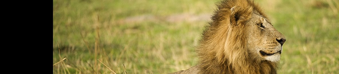 6-Day Tanzania Mid Range Safari