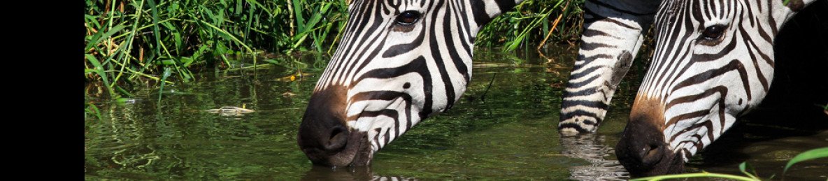 20-Day Classic Grand Kenya and Tanzania Expedition