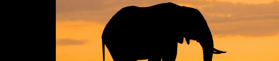 4-Day Mikumi NP to Selous GR, Game Drive + Boat Safari