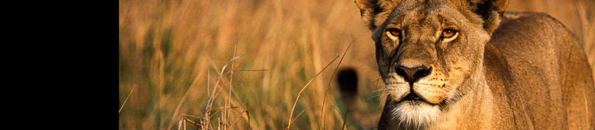 7-Day Africa Wildlife and Cultural Luxury Safari