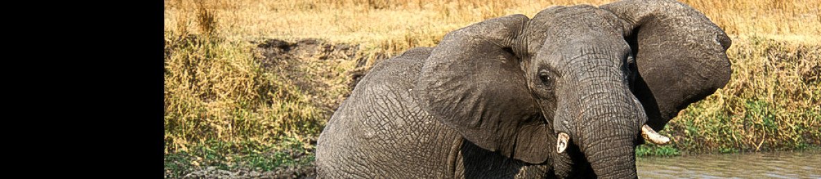 3-Day Luxury Tarangire, Ngorongoro & Manyara Tour