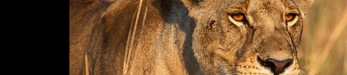 6-Day Private Wildlife & Cultural Safari