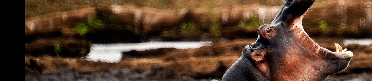 3-Day Katavi National Park Safari-from Dar Es Salaam