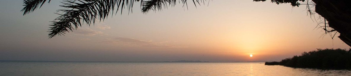 11-Day Incredible Safari & Beach Holiday