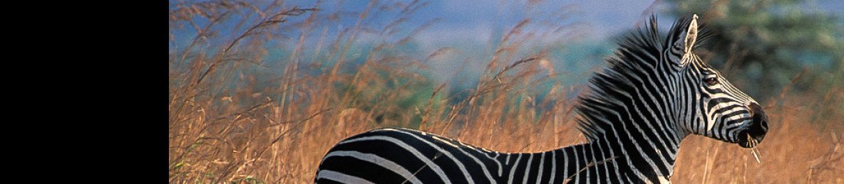 10-Day Budget Safari to Lake Victoria and Kilimanjaro