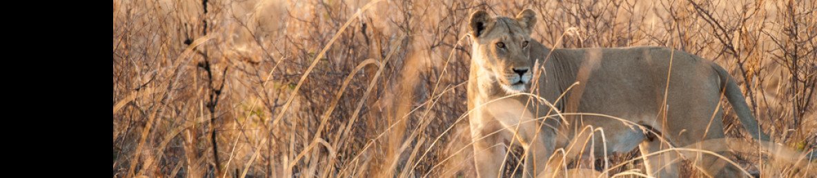 3-Day Safari Visit Lake Manyara and Ngorongoro