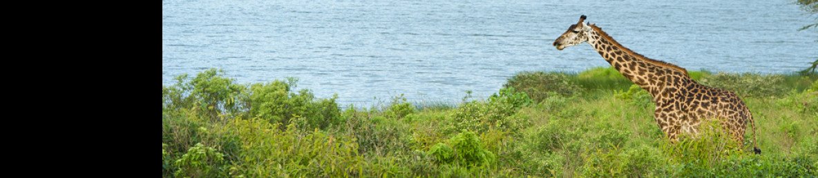 4-Day Classic Wildlife & Cultural Experience Safari