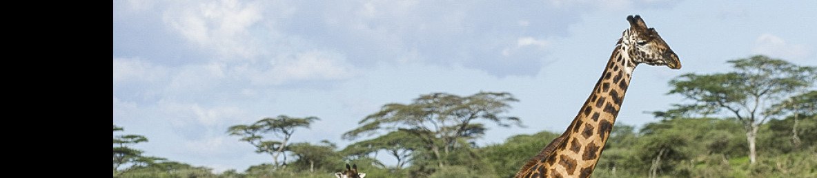 3-Day Best Tarangire, Ngorongoro & Manyara Trip