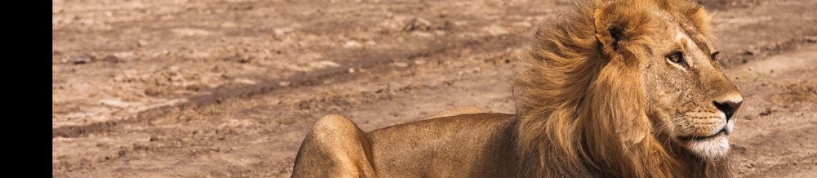 3-Day Luxury Fly in, Fly out Safari