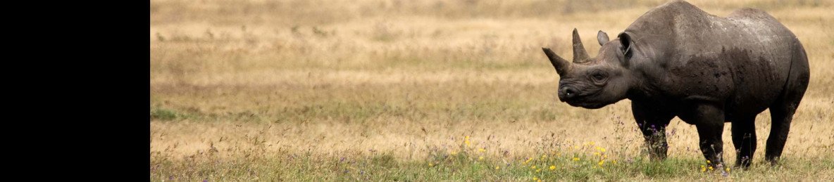 1-Day Private Ngorongoro Safari