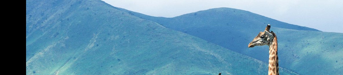 5-Day Lake Manyara, Ngorongoro & Serengeti Tour