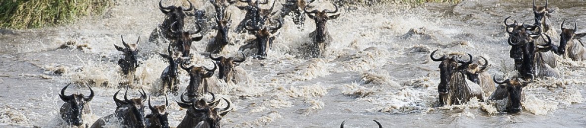5-Day Great Migration Safari in Northern Serengeti