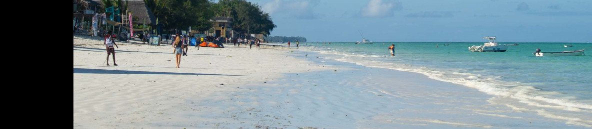 7-Day Zanzibar Beach with Mikumi Safari Adventure