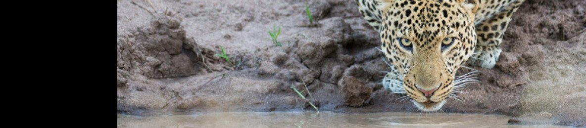 6-Day Tanzania Fly in Migration Tour