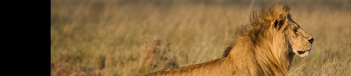 1-Day Tarangire Trip