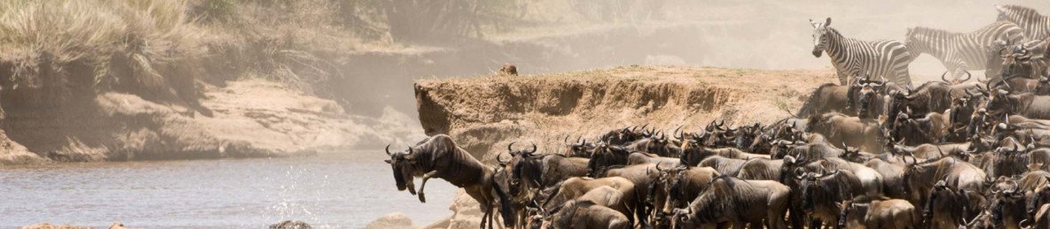 8-Day Private Mid-Range Serengeti Wildebeests Migration