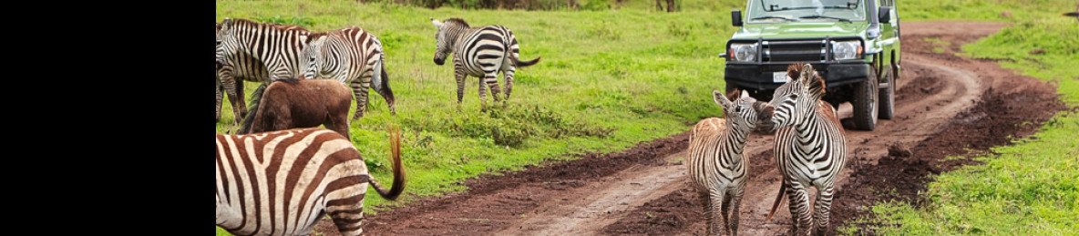 3-Day Serengeti and Ngorongoro Luxury Safari